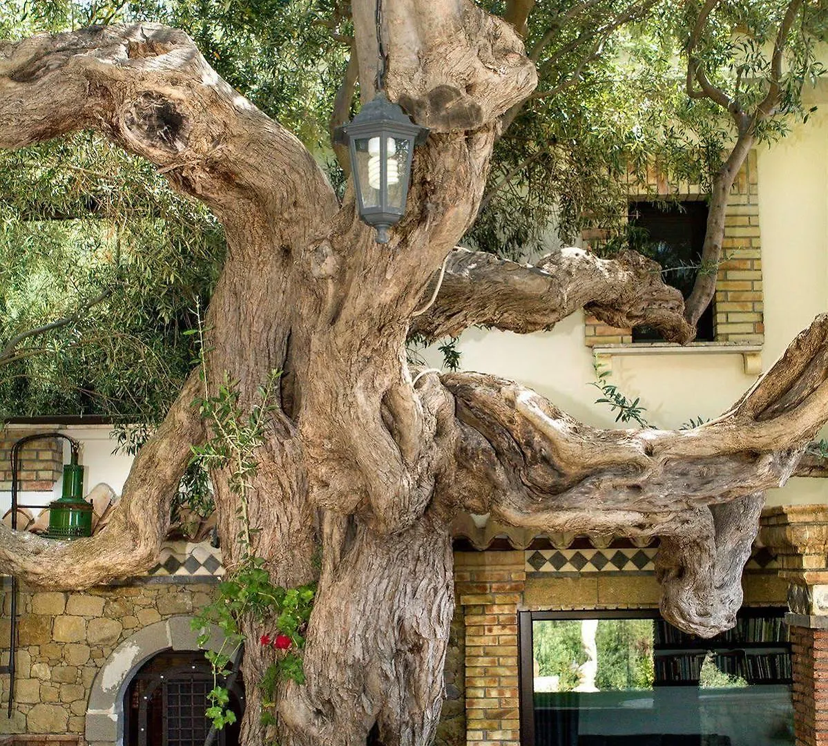 לטויאני Villa Finu Il Balcone Di Goethe